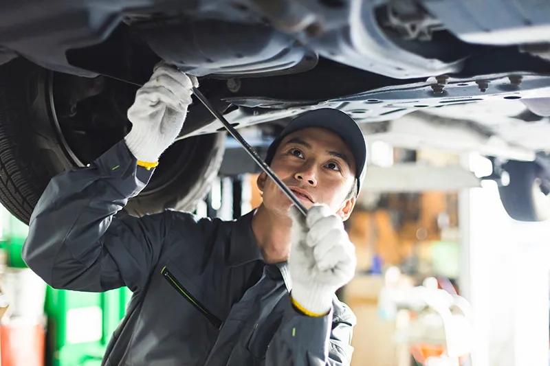 一緒に働いてくれる方を募集